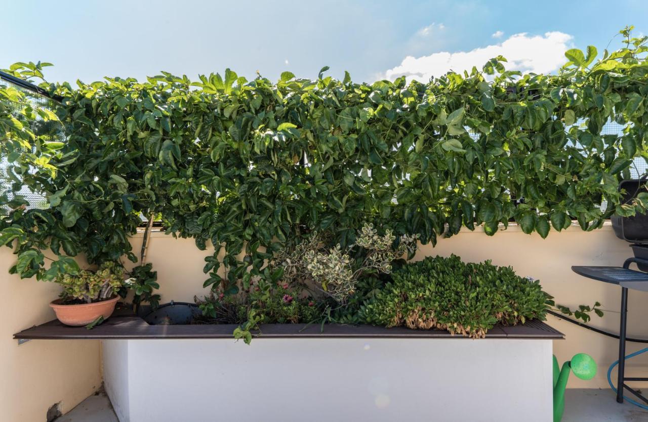 Casa Colibri - Solemar Sicilia Leilighet Santa Flavia Eksteriør bilde